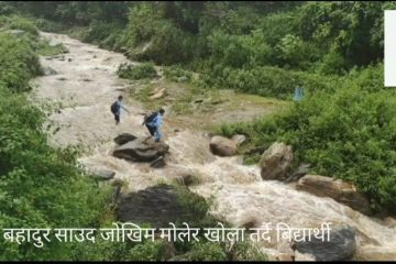 गृहपुष्ठ