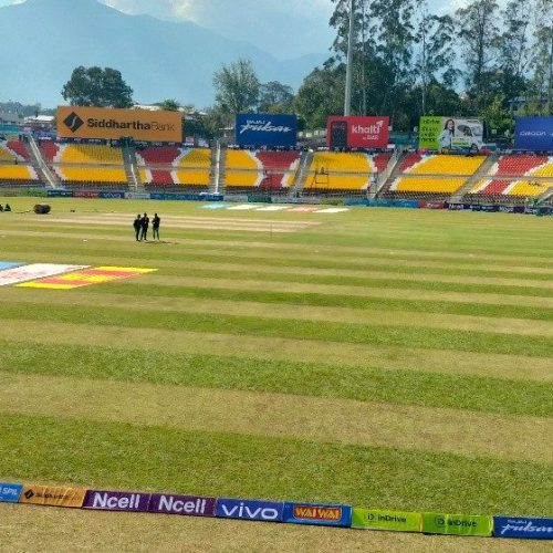 गृहपुष्ठ