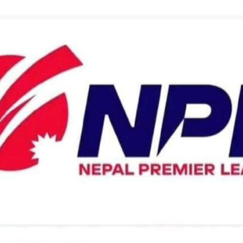 गृहपुष्ठ